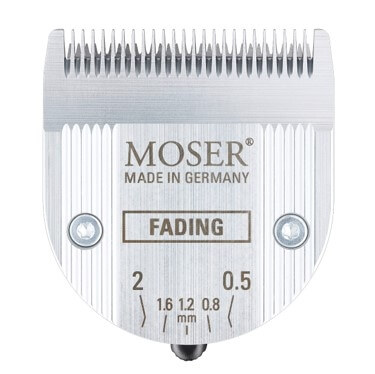 Fading Blade